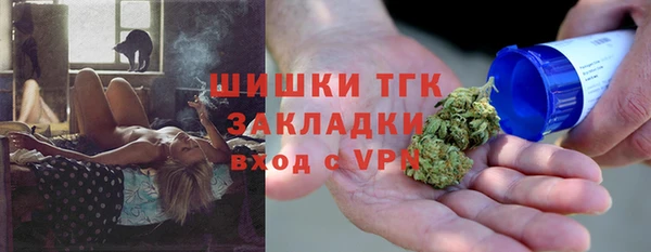 спайс Богданович