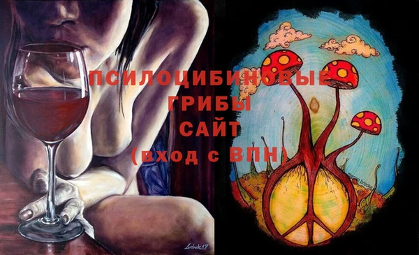 spice Богородск