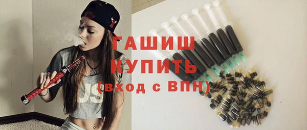 spice Богородск