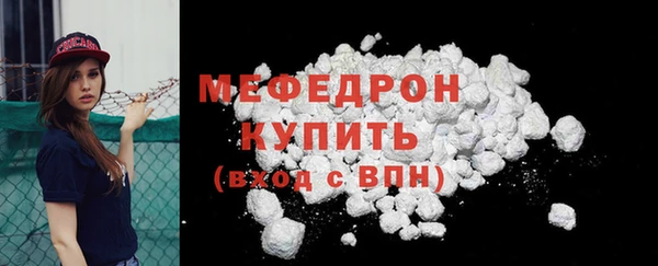 spice Богородск