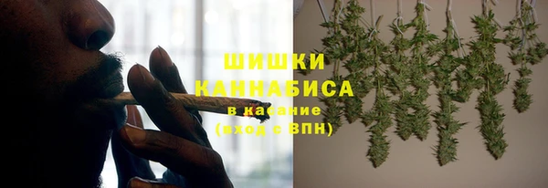 спайс Богданович