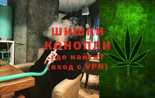 spice Богородск